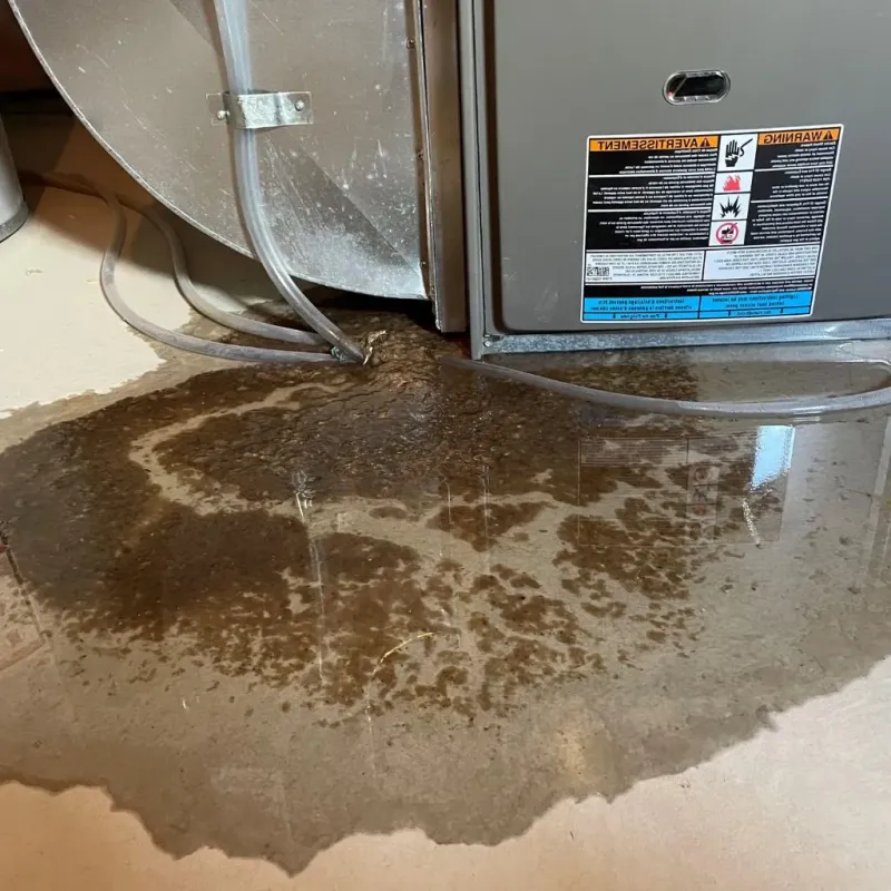 Pipe Burst and Leak Restoration in Frankfort, MI