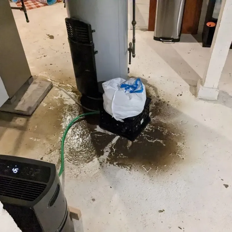 Sewage Backup Cleanup Service in Frankfort, MI